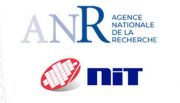 Bild: New Imaging Technologies (NIT) / French National Research Institute